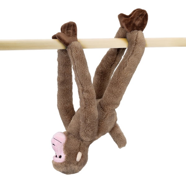 Hanging Monkey - Japanese Macaque - ABI