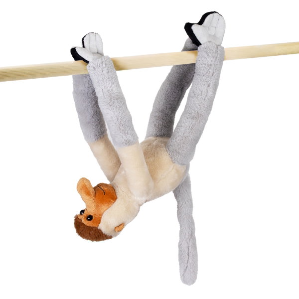 Hanging Monkey - Proboscis - CALLY