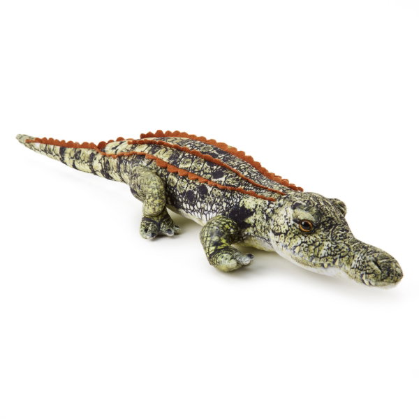 Crocodile 50cm - ALEX
