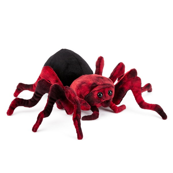 Spider 24 cm - CHARLIE