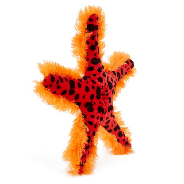 Chocolate Chip Sea Star 25 cm - SCARLETT