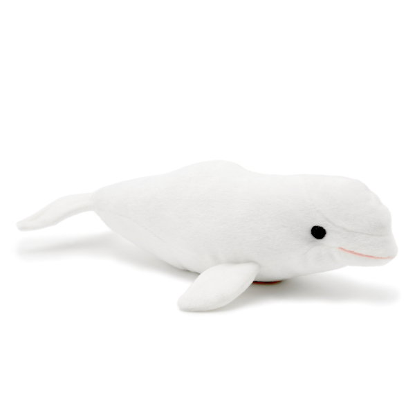 Beluga Whale 32 cm - BLONDIE