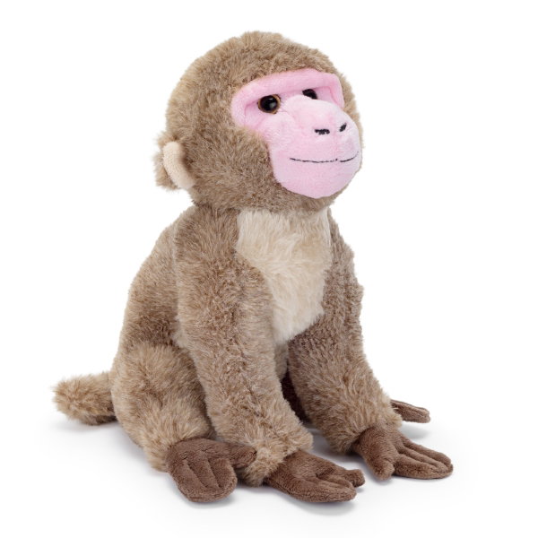 Japanese Macaque 22cm - ABI