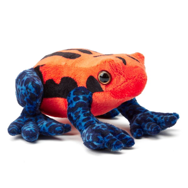 Mimic Poison Dart Frog 15 cm ECO - PHILOMENA