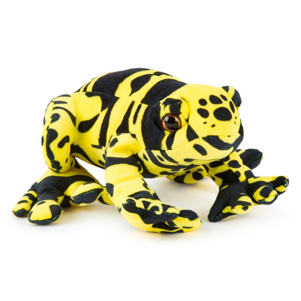 Yellow Banded Poison Dart Frog 20 cm ECO - PABLO