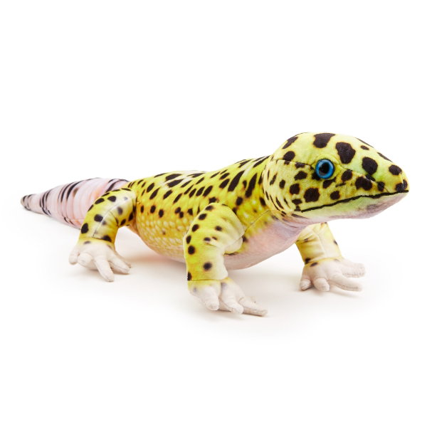 Leopard Gecko 65 cm - LEO