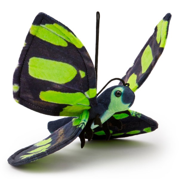 Malachite Butterfly 28 cm ECO - MIA