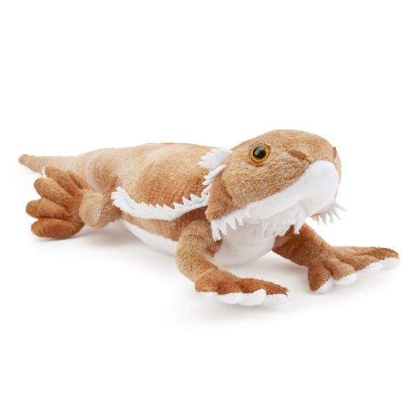 Bearded Dragon 34 cm ECO - GEORGE