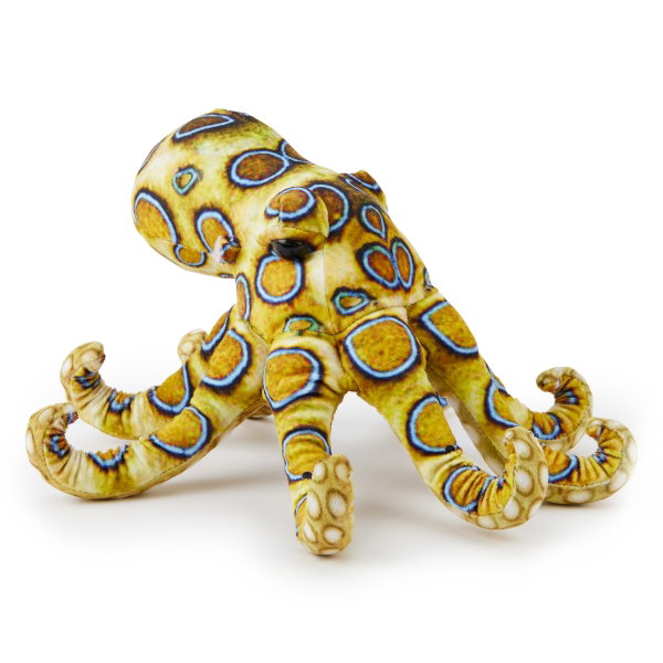 Blue Ringed Octopus 27 cm - OWEN