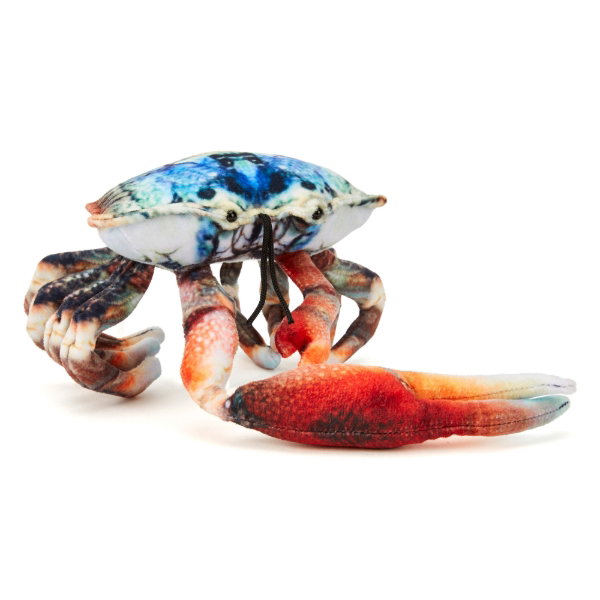 Fiddler Crab 20cm - FLYNN