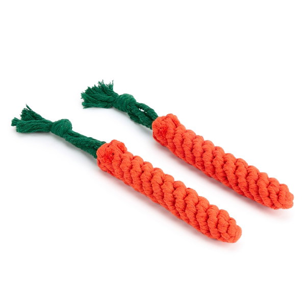 Pet Toy - Carrot (2 pack)