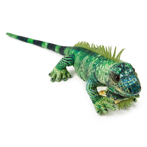 Iguana Green 60 cm - IZZIE